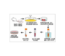 生物多样性 生命之网与保护实践