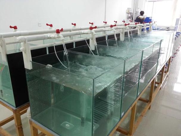 水生物繁育源头工厂设备解决方案