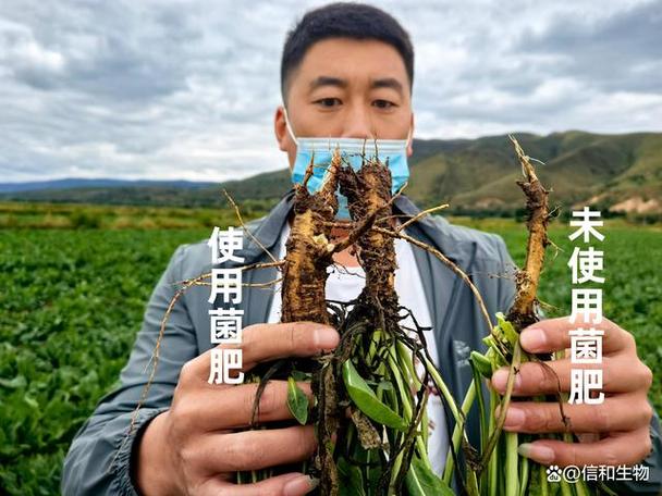 近年来,一种名为"活性菌生物肥"的产品逐渐走进农户的视野,成为改善